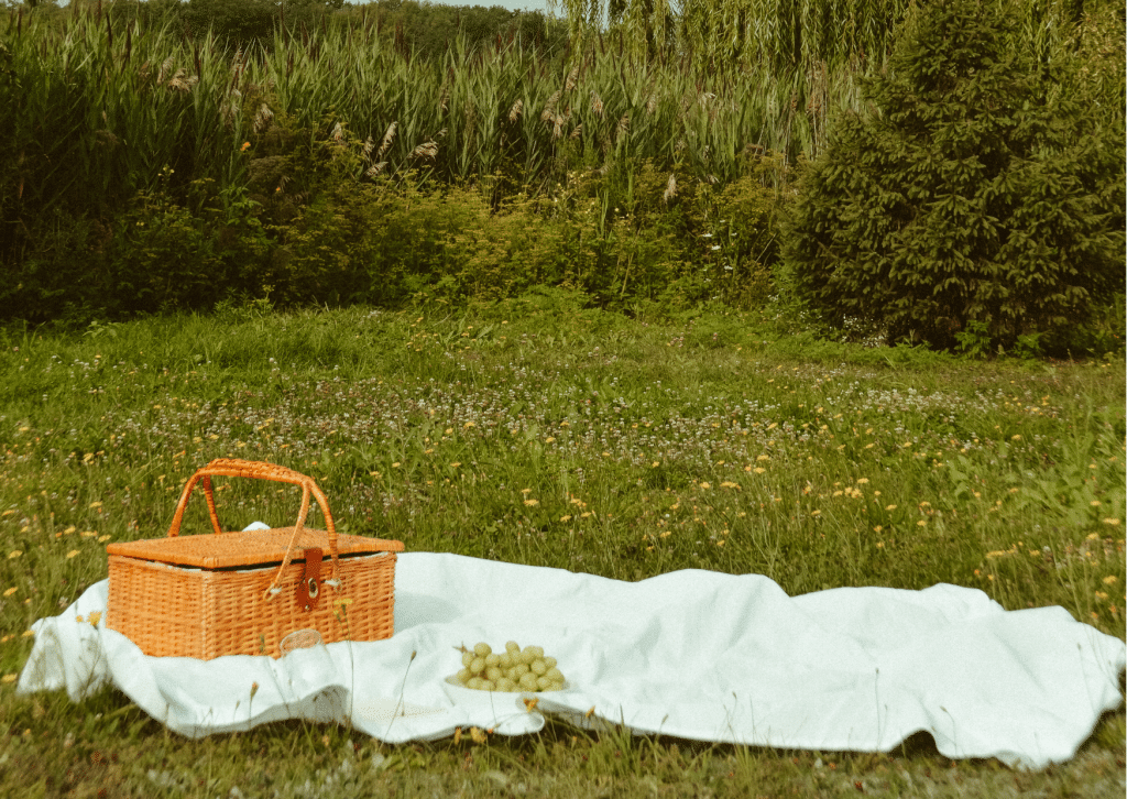 que llevar a un picnic